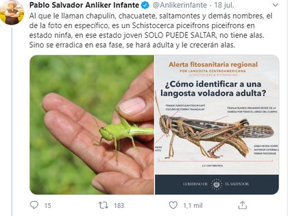 (Foto: Twitter Pablo Salvador Anliker Infante, Ministro de Agricultura de El Salvador)